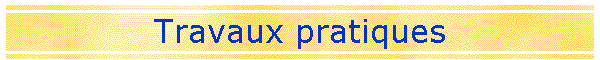 Travaux pratiques