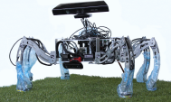 Messor Robot